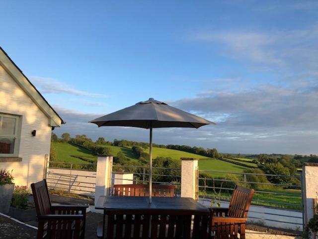 Red Kite Cottage Carmarthen Exterior foto
