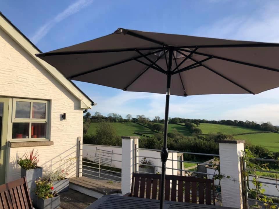 Red Kite Cottage Carmarthen Exterior foto