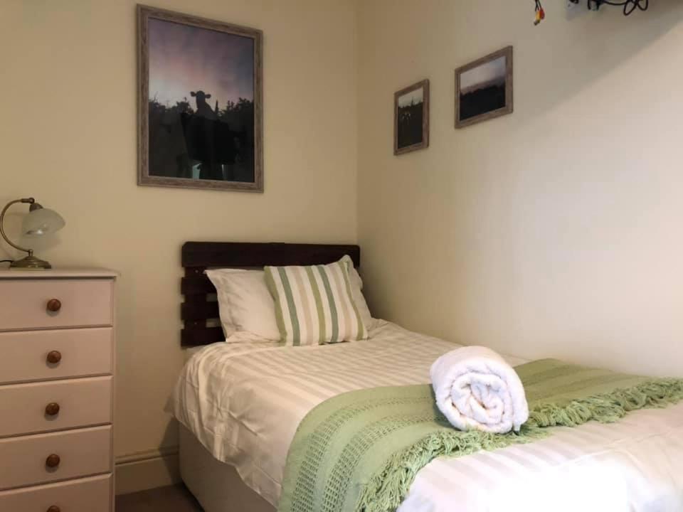 Red Kite Cottage Carmarthen Exterior foto