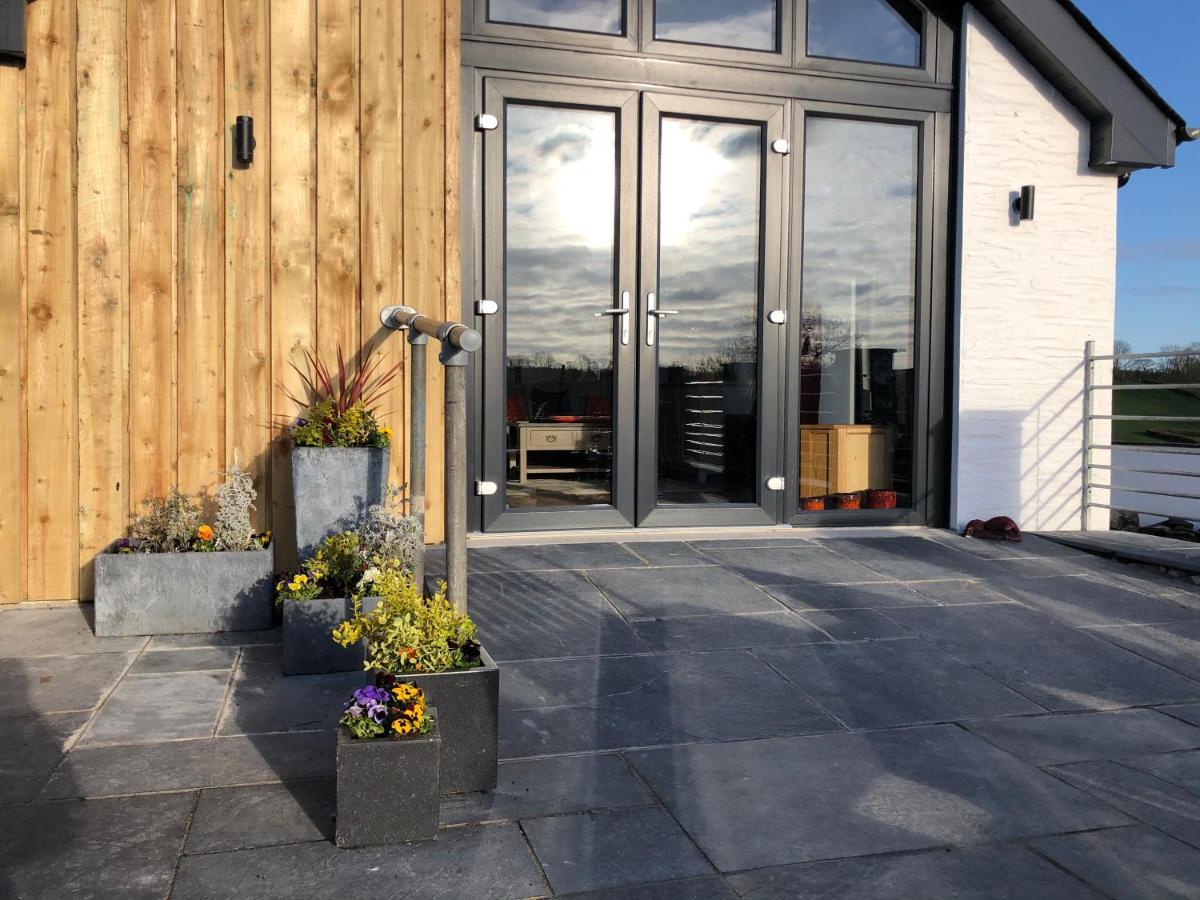 Red Kite Cottage Carmarthen Exterior foto