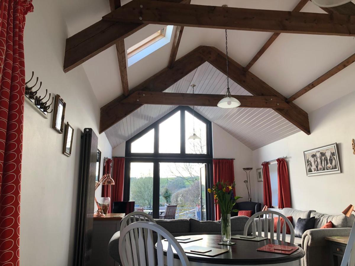 Red Kite Cottage Carmarthen Exterior foto