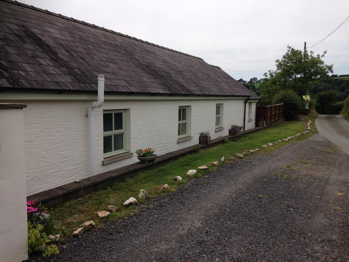 Red Kite Cottage Carmarthen Exterior foto