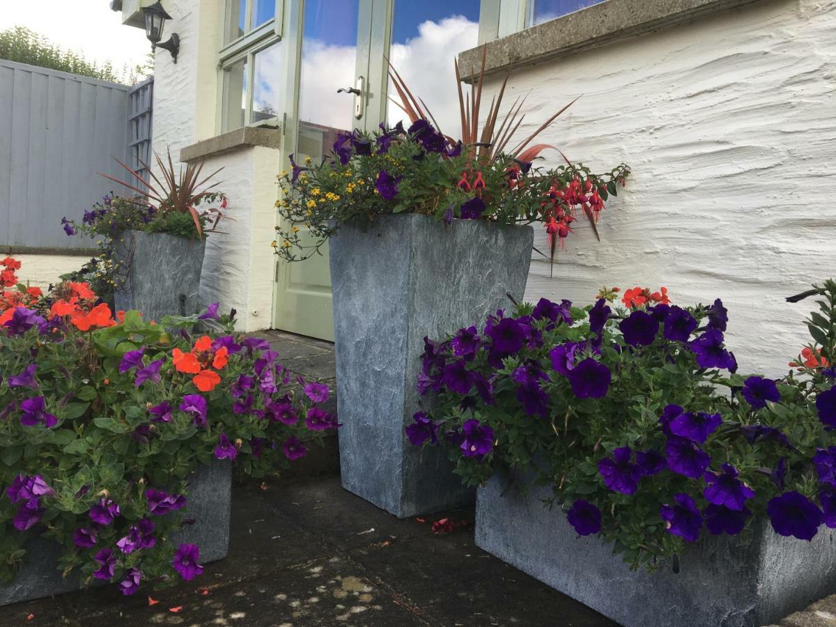 Red Kite Cottage Carmarthen Exterior foto